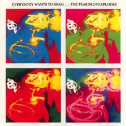 The Teardrop Explodes : Everybody Wants to Shag...The Teardrop Explodes